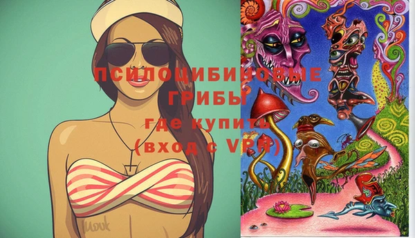 молекула духа Каменка