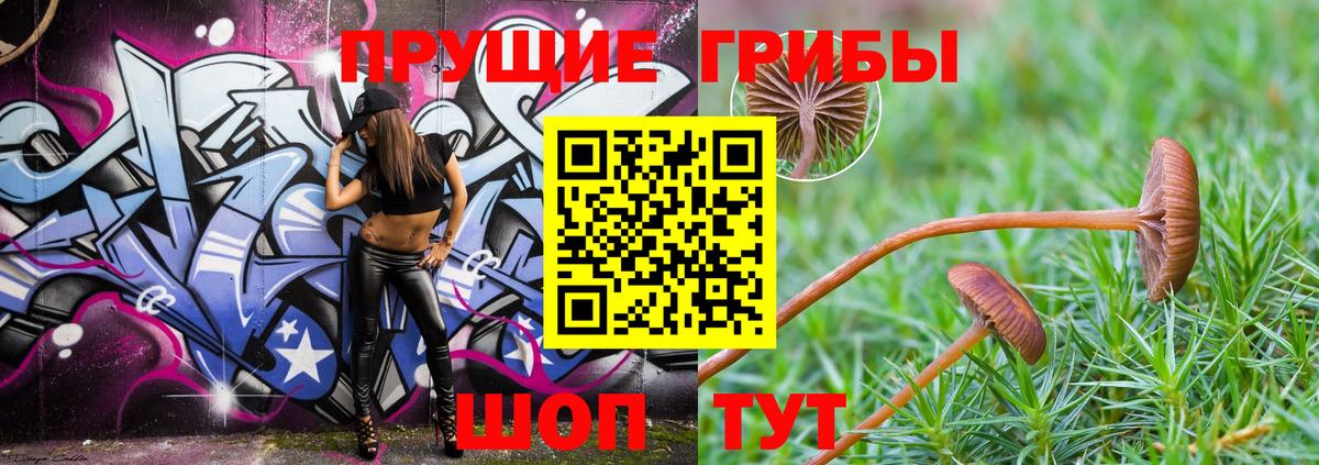 Псилоцибиновые грибы MAGIC MUSHROOMS Заволжье